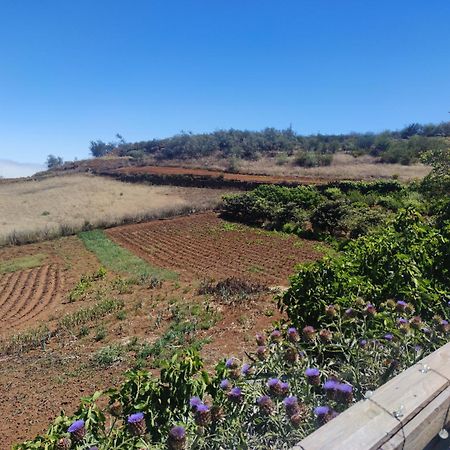 Finca El Cercadillo Gáldar 외부 사진